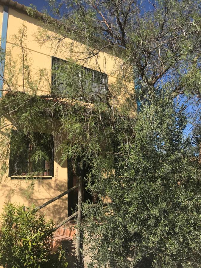Casa Rural “Las Espinosas” Villanueva del Trabuco Eksteriør billede